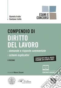 Compendio di diritto del lavoro libro
